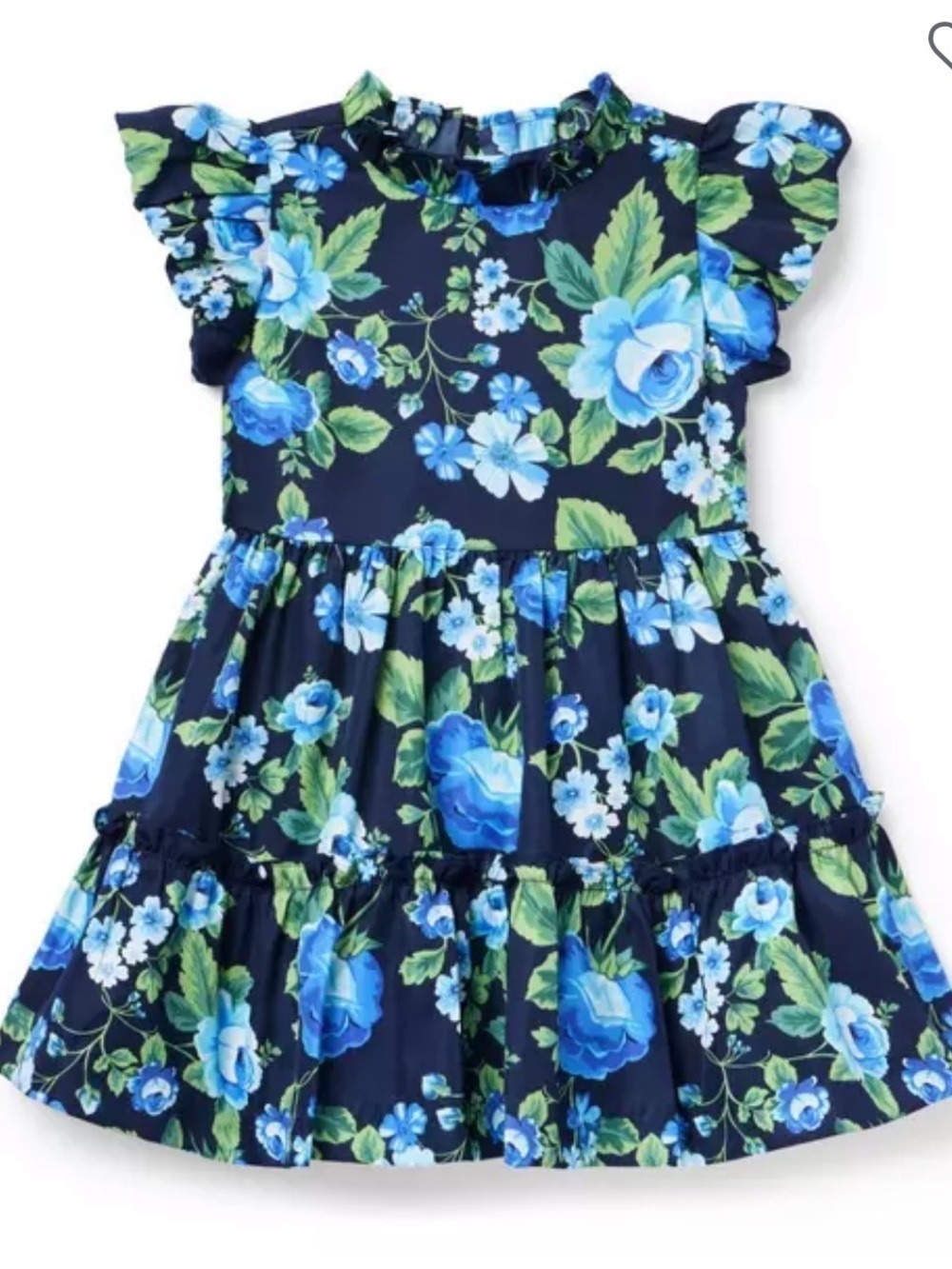 Janie and Jack Navy Floral Ruffle-Sleeve Dress with Blue Roses